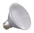 Light Bulb (S29411)