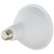 Light Bulb (S29483)