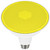 Light Bulb (S29484)
