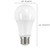 Light Bulb (S29589)