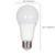 Light Bulb (S29816)