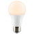Light Bulb (S29830)