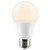 Light Bulb (S29831)