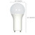 Light Bulb (S29842)