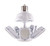 Light Bulb (S39769)