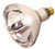 Satco - S4750 - Light Bulb - Clear Heat