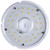 Light Bulb (S49677)