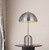 Peppa One Light Accent Lamp (BO-2978DK-BS)