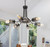 Savona Six Light Chandelier (FX-3754-6)