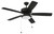 Outdoor Pro Plus 119 52" Outdoor Ceiling Fan (OP119FB5)