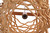 Pendant One Light Pendant (P2001-NT)