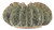 Sunken Boat Vase (1200-0300)
