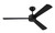 Provision 52" In/Outdoor Fan no Wifi 52" Ceiling Fan (PRV52FB3-NWF)