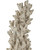 Staghorn Object (1200-1044)