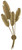 Tropical Four Light Wall Sconce (5000-0128)