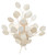 Currey and Company - 5000-0198 - Two Light Wall Sconce - Lunaria - Contemporary Silver Leaf