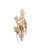 Currey and Company - 5000-0282 - One Light Wall Sconce - Aviary - Swedish Gold