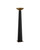 Currey and Company - 8000-0167 - LED Floor Lamp - Calyx Torchiere - Black/Antique Brass