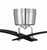 Tern 52" Ceiling Fan (TRN52FBPLN2)