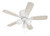 Wheeler 42 3-Light 42" Ceiling Fan (WHL42W5C3)