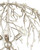Shinju Six Light Chandelier (9000-1291)