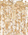 Kealia Ten Light Chandelier (9000-1300)