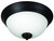 Craftmade - XP11ABZ-2W - Two Light Flushmount - Flushmount - Aged Bronze Brushed