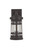 Resilience Lanterns One Light Outdoor Lantern (ZA2304-BZ-C)