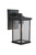 Resilience Lanterns One Light Outdoor Lantern (ZA2414-TB-C)