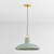 Pottersville One Light Pendant (1918-AGB/CMC)