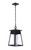 Craftmade - ZA2721-TB - One Light Outdoor Pendant - Becca - Textured Black