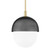 Hudson Valley - 6119-AGB/BK - One Light Pendant - Nyack - Aged Brass/Black