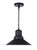 Singleton One Light Outdoor Pendant (ZA5411-MN)