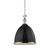 manufacturer_finish:Black/Polished Nickel|manufacturer_glass:Clear