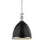 manufacturer_finish:Black/Polished Nickel|manufacturer_glass:Clear