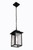 Rock Creek One Light Outdoor Pendant (ZA7011-TB)