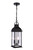 Craftmade - ZA7211-MN - Two Light Outdoor Pendant - Bent Tree - Midnight
