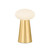 Hudson Valley - L2941-AGB - LED Table Lamp - Cashel - Aged Brass