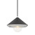 manufacturer_finish:Polished Nickel/Black