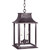 Northeast Lantern - 11312-DB-LT2-CLR - Two Light Hanging Lantern - Rockland - Dark Brass