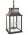 Northeast Lantern - 11322-DB-LT2-CSG - Two Light Hanging Lantern - Rockland - Dark Brass