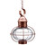 Northeast Lantern - 2542-AC-MED-CSG - One Light Hanging Lantern - Onion - Antique Copper
