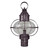 Northeast Lantern - 2543-DB-MED-CSG - One Light Post Mount - Onion - Dark Brass