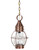 Northeast Lantern - 2722-AC-MED-CLR - One Light Hanging Lantern - Bosc - Antique Copper