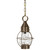 Northeast Lantern - 2722-DAB-MED-CLR - One Light Hanging Lantern - Bosc - Dark Antique Brass