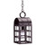 Northeast Lantern - 6132-DB-MED-CSG - One Light Hanging Lantern - Adams - Dark Brass