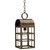 Northeast Lantern - 6142-DAB-MED-CLR - One Light Hanging Lantern - Adams - Dark Antique Brass