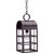 Northeast Lantern - 6142-DB-MED-CLR - One Light Hanging Lantern - Adams - Dark Brass