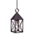 Northeast Lantern - 7042-DB-MED-CLR - One Light Hanging Lantern - York - Dark Brass