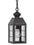 Northeast Lantern - 8312-DB-MED-CLR - One Light Hanging Lantern - Woodcliffe - Dark Brass